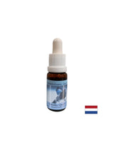 Za čustveno ravnovesje in stabilnost št. 10 - Smoky Quartz Essence, pade 15 ml
