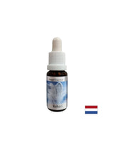 Podpira zdravljenje - Rehael Essence (Angel Essence št. 19), pade 15 ml
