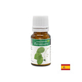 Eterično olje kamforskega drevesa, 10 ml