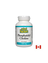 Fosfatidil holin 420 mg - 90 softgelov