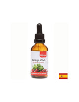 Gayuba / Medvejka (tinktura) / Zdravje sečil, 50 ml Arte<tc>san</tc>ia