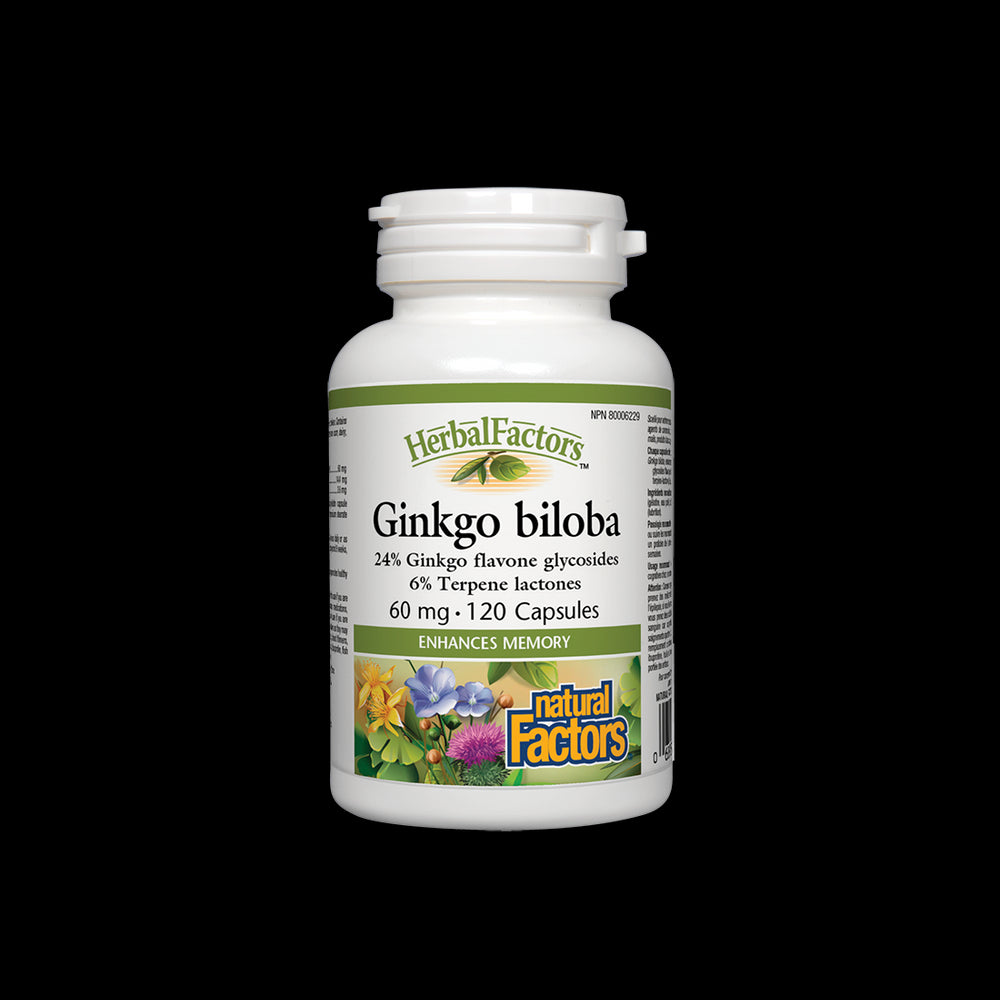 Ginkgo Biloba 60 mg - 120 kapsul