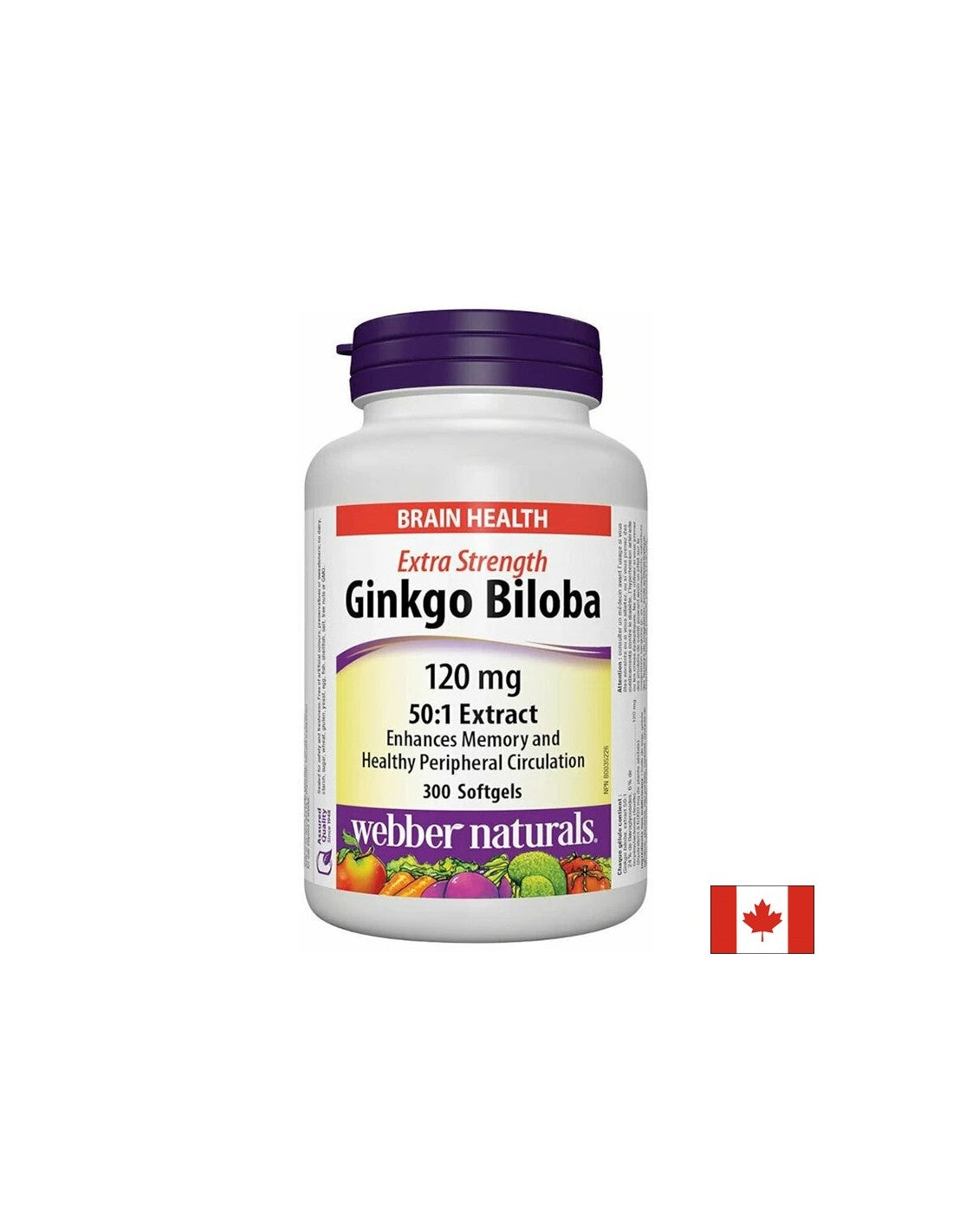 Ginko BILOBA - PAMET, KONцENTRACIJI IN KRъVOBRAщENIE