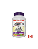 Ginko BILOBA - PAMET, KONцENTRACIJI IN KRъVOBRAщENIE