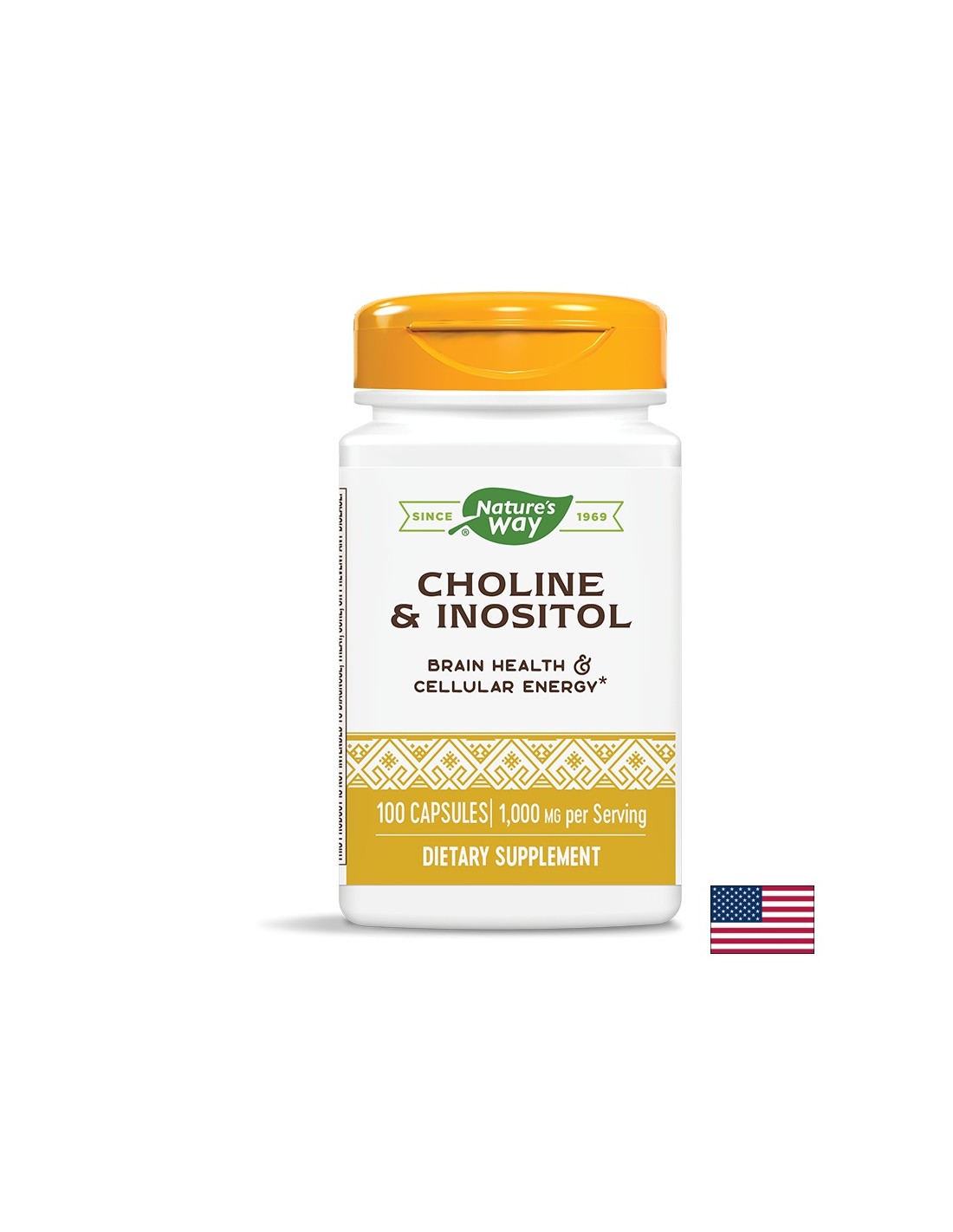Cholin 250 mg in inositol 250 mg - 100 kapsul