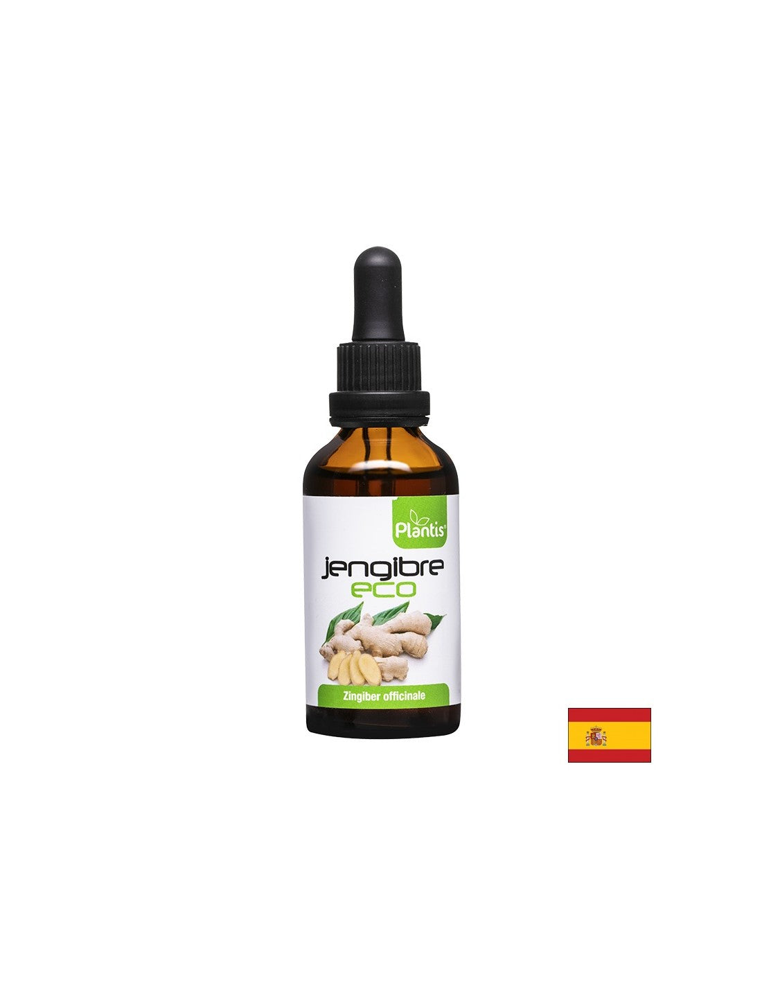 Jengibre Eco – Ingver (tinktura), 50 ml Arte<tc>san</tc>ia