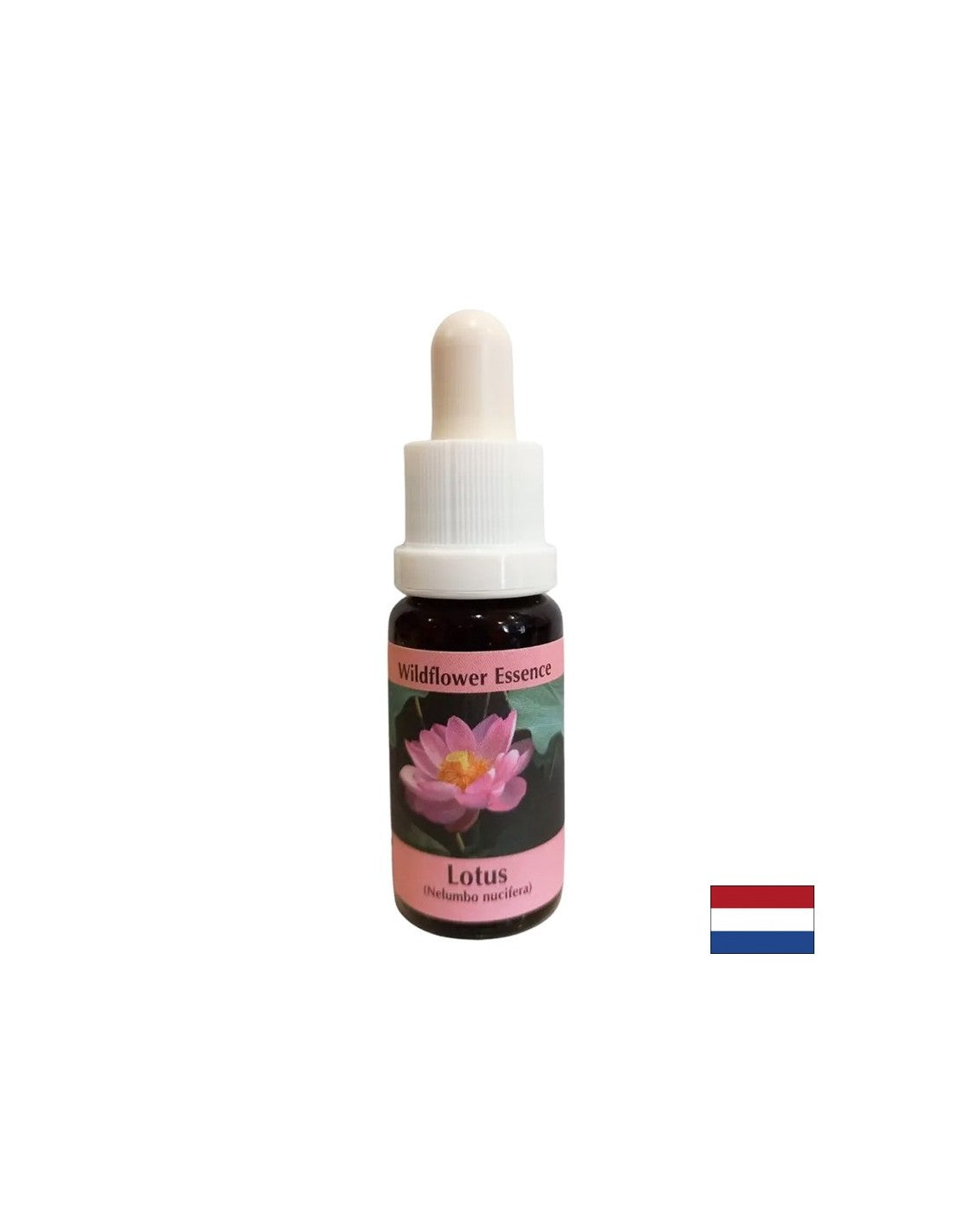Harmonizira čakre in odpre um - Essence Indian Lotus št. 30, pade 15 ml