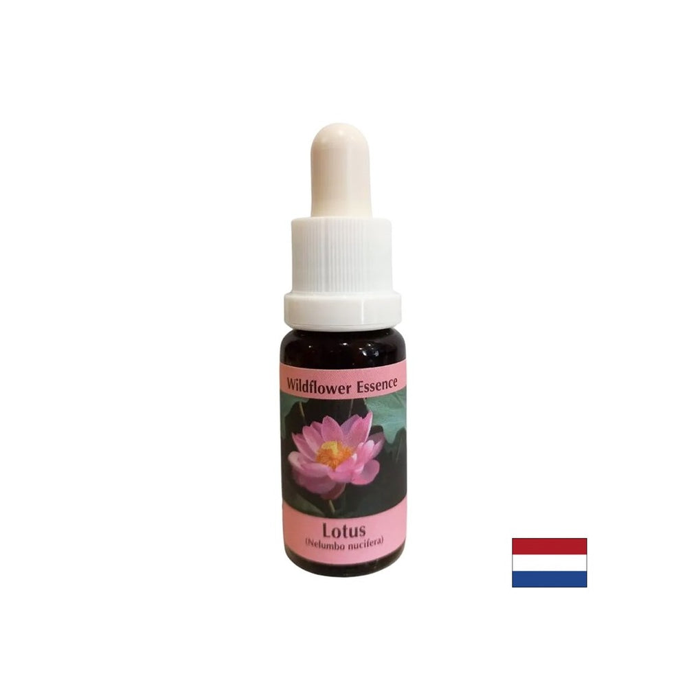 Harmonizira čakre in odpre um - Essence Indian Lotus št. 30, pade 15 ml