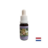 Koordinira zdravilne energije - Essence Koordiniranje orhideje št. 8, pade 15 ml