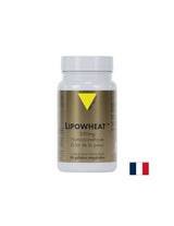 Lepa koža - Phyto Ceramides Lipowheat ™, 350 mg x 30 kapsul