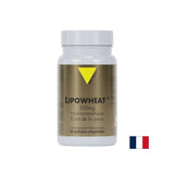 Lepa koža - Phyto Ceramides Lipowheat ™, 350 mg x 30 kapsul