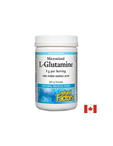 Mikronizirani l -glutamin - 300 gramov
