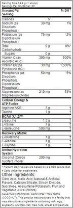 Amino 1 Hydrate + Recover 432 грама - Feel You