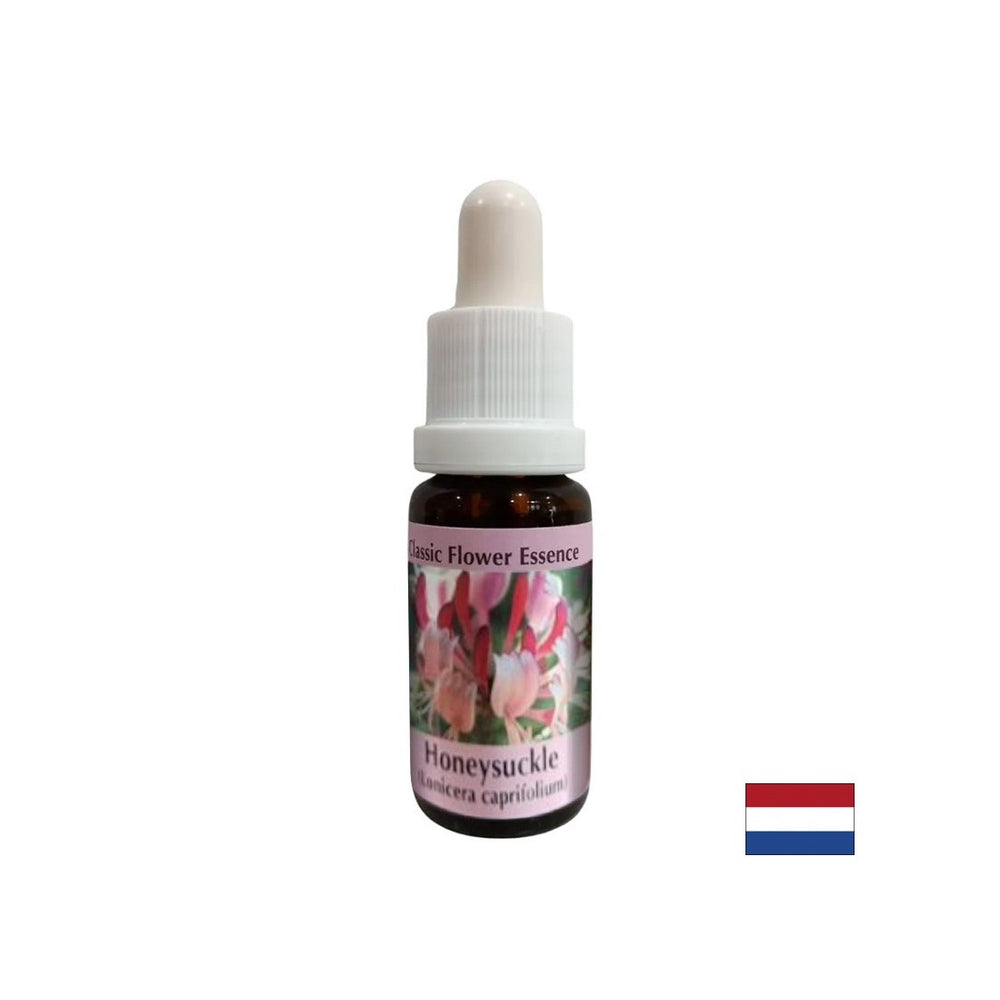 Spodbuja pozitivnost - Honeysuckle Essence št. 16, pade 15 ml