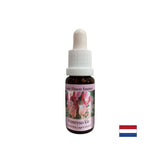 Spodbuja pozitivnost - Honeysuckle Essence št. 16, pade 15 ml