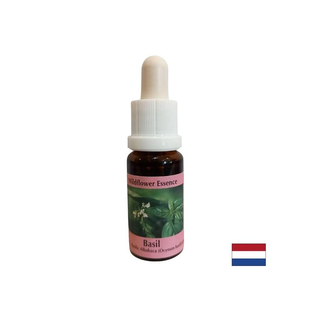 Združi energetska središča, za dobro prebavo - Essence Bazilike št. 23, spusti 15 ml