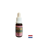 Razbremeni strah in spodbuja zaupanje - St. John's Wort Essence št. 28, pade 15 ml