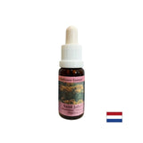 Razbremeni strah in spodbuja zaupanje - St. John's Wort Essence št. 28, pade 15 ml