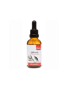 Olivo/ Olive (leaf), (tincture)/ Cardiovascular system, 50 ml Artesania - Nutra Best Europe