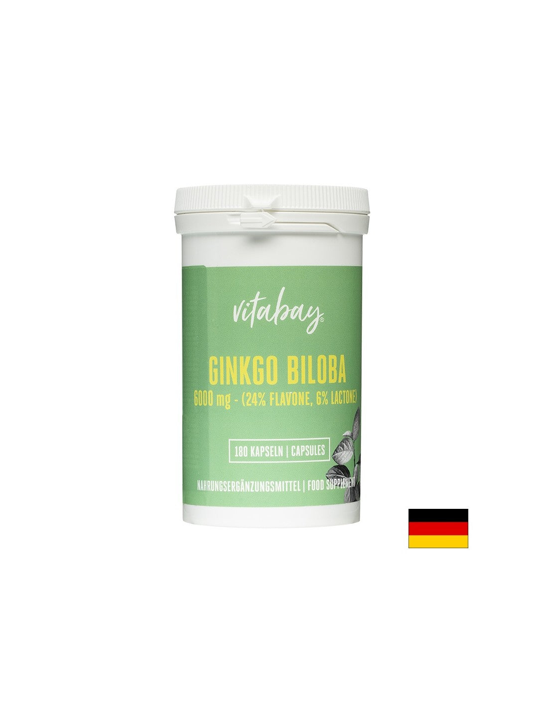 Pomnilnik in koncentracija - Ginko biliba, 6000 mg x 180 kapsul