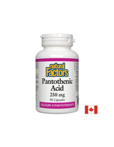 Pantotenska kislina 250 mg - 90 kapsul