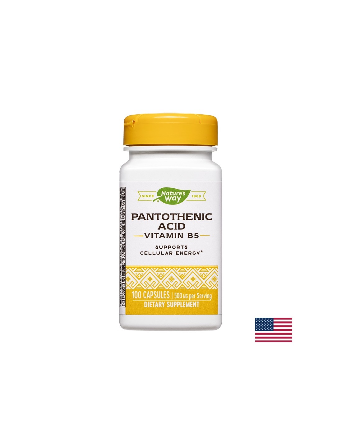 Pantalna kislina (vitamin B5), 100 kapsul narave
