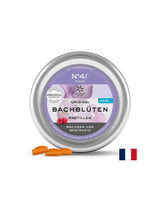 Dr. Bach pastile - N°41 Focus, 50 g (~ 40 kosov) <tc>Lemon Pharma</tc>