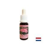 Zaščititi čustva in splošno zdravje - Essence Pink Yarrow št. 35, pade 15 ml