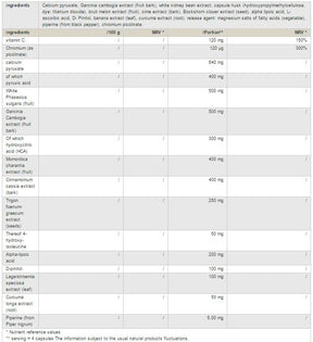 Hellburner / Carb Smasher - 120 capsules - Nutra Best Europe