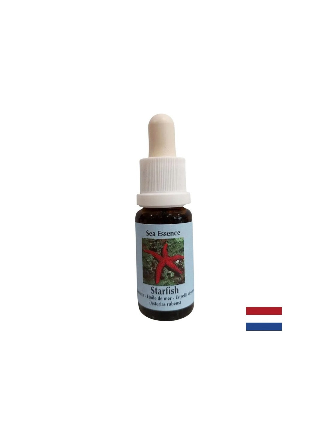 Izboljša komunikacijo - Starfish Essence št. 9, pade 15 ml