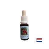 Izboljša komunikacijo - Starfish Essence št. 9, pade 15 ml