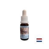 Podpira intuicijo in izmenjavo čustev - Essence Sea Dog št. 5, pade 15 ml