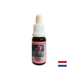 Podpira koncentracijo in osredotočenost - Bloolroot Essence št. 28, pade 15 ml