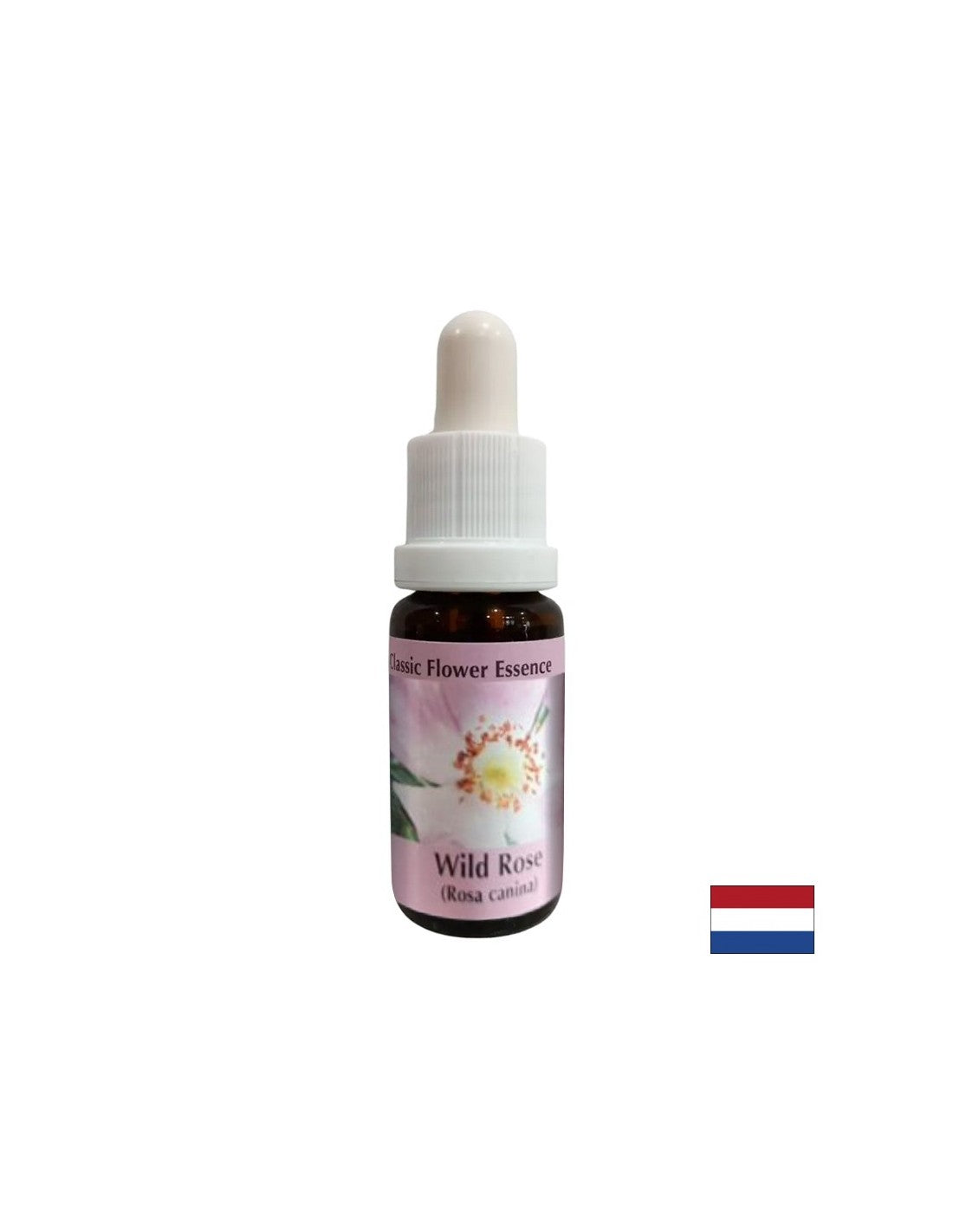 Poveča aktivnost in motivacija - Rosehip Essence št. 37, pade 15 ml