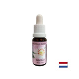 Poveča aktivnost in motivacija - Rosehip Essence št. 37, pade 15 ml