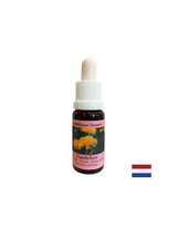 Odstrani napetost od konfliktov - Dandelion Essence št. 11, pade 15 ml