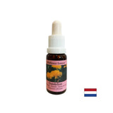 Odstrani napetost od konfliktov - Dandelion Essence št. 11, pade 15 ml