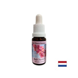 Ko skrbijo drugi - Essence Rdečega kostanja št. 25, pade 15 ml