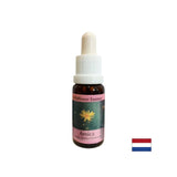 Za poškodbe in šok - Arnica Essence št. 22, pade 15 ml