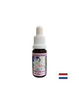 Za vsiljive misli - konjsko kostanj Essence št. 35, pade 15 ml
