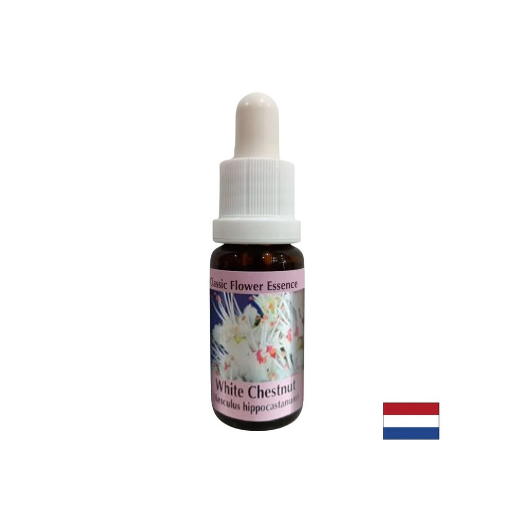 Za vsiljive misli - konjsko kostanj Essence št. 35, pade 15 ml