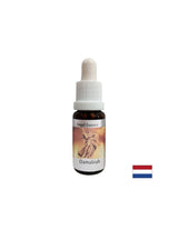 Za težave v odnosih - Damabia Essence (Angel Essence št. 5), pade 15 ml