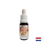 Za težave v odnosih - Damabia Essence (Angel Essence št. 5), pade 15 ml