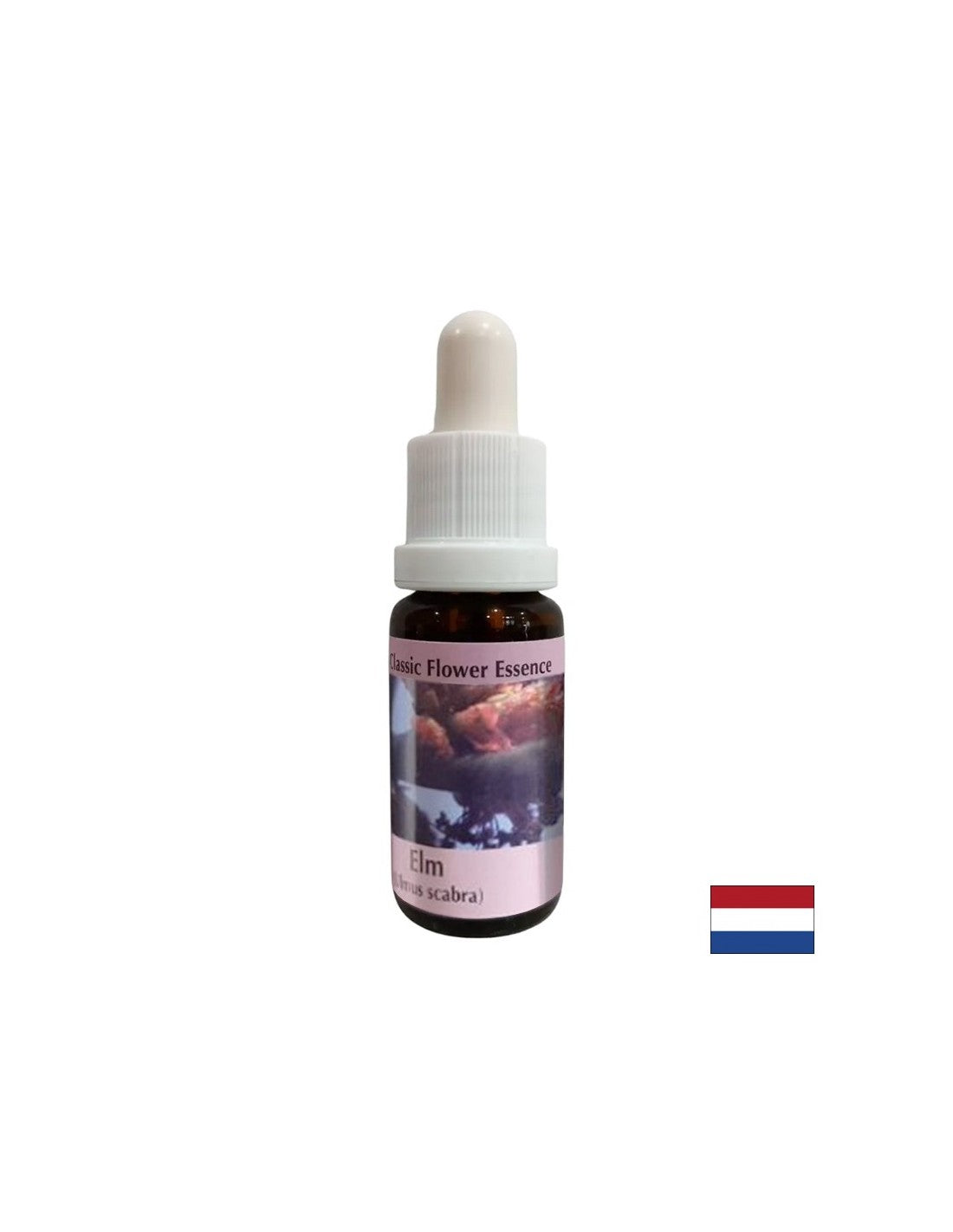 V težkih situacijah - Elm Essence št. 11, pade 15 ml