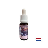 V težkih situacijah - Elm Essence št. 11, pade 15 ml