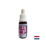 Širi zavest in izboljšuje komunikacijo - Essence angelske orhideje št. 3, pade 15 ml