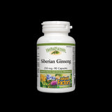 Sibirski ginseng 250 mg - 90 kapsul