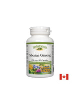 Sibirski ginseng 250 mg - 90 kapsul