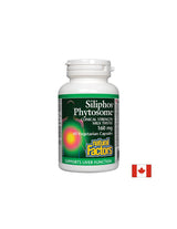 Premium Milk Thistle / Siliphos Fitosom 160 mg - 60 kapsul