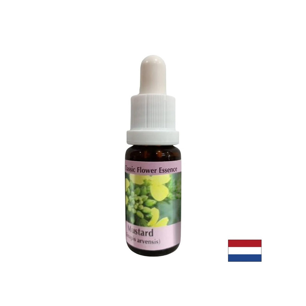 Proti negativnim mislim in depresiji - Essence Sinap št. 21, pade 15 ml